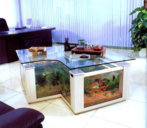 Coffee Table Aquarium