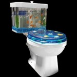 Aquariass