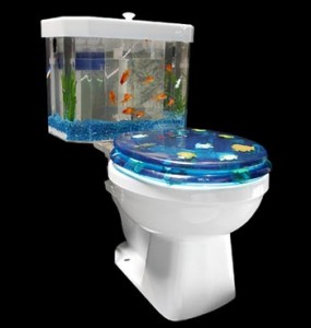 The Aquariass